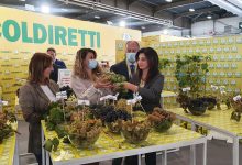 Vinitaly, Coldiretti: le uve storiche campane tra i grappoli d’Italia