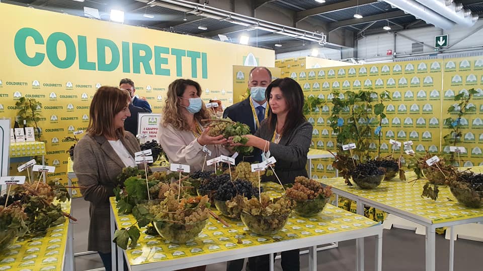 Vinitaly, Coldiretti: le uve storiche campane tra i grappoli d’Italia