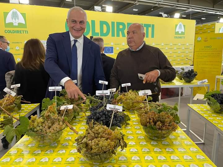 uve campania al vinitaly