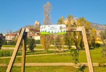 “Un albero per ogni nuovo nato”, l’iniziativa del Comune di Montesarchio