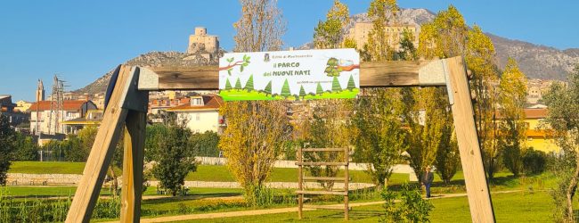 “Un albero per ogni nuovo nato”, l’iniziativa del Comune di Montesarchio