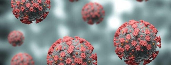 Covid, caso sospetto in Campania di variante Omicron