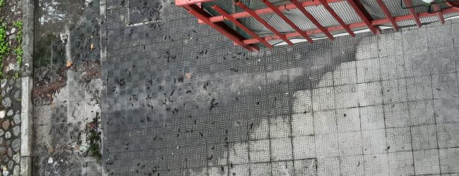 Benevento: ancora degrado in Via Nuzzolo, la denuncia di Civica