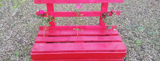 Violenza donne, all’ASI di Benevento una panchina rossa realizzata con materiali di riciclo