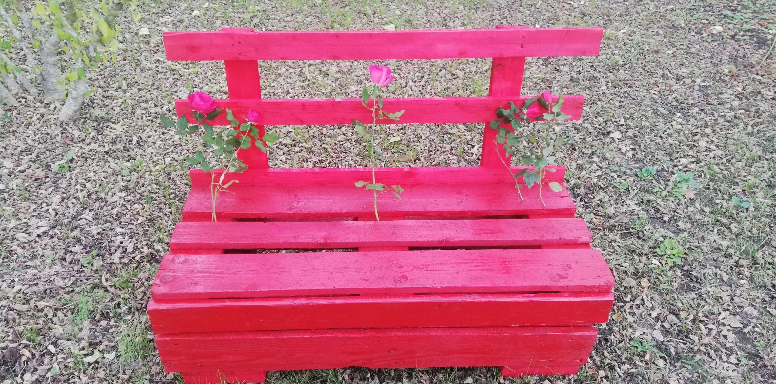 Violenza donne, all’ASI di Benevento una panchina rossa realizzata con materiali di riciclo
