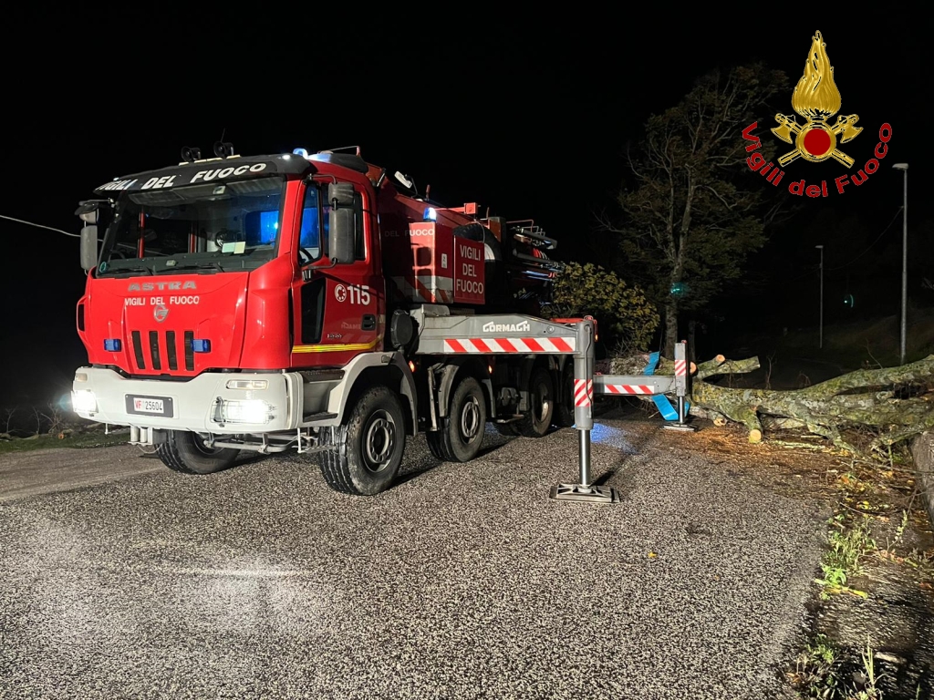 Maltempo in Irpinia, più di 30 interventi dei vigili del fuoco: rimossi alberi sul raccordo e davanti all’accesso posteriore del Moscati