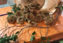 Bilancio ok per la Sagra della Castagna e pecorino a Vitulano