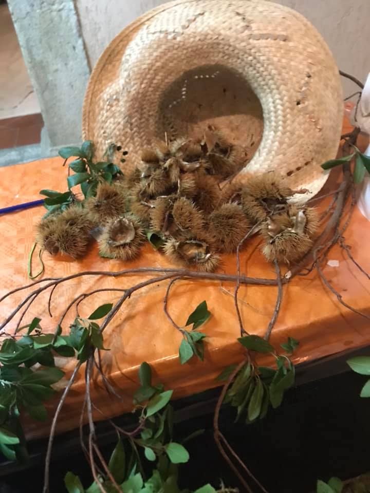 Bilancio ok per la Sagra della Castagna e pecorino a Vitulano