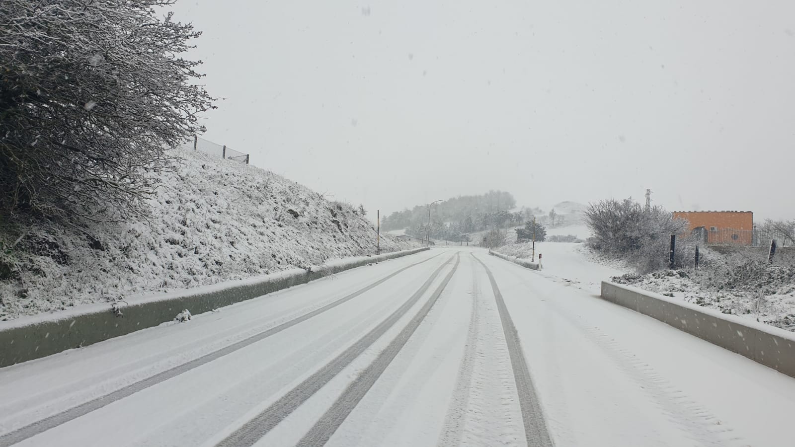 monte 2