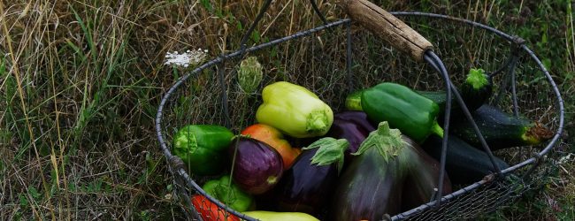 Incendio Sapa, ad Airola e in altri cinque comuni sanniti decade il divieto di pascolo e di raccolta di frutta e ortaggi