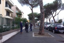 Pini, Rosa: agiremo in totale concerto con Soprintendenza e Procura