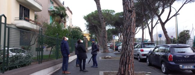 Pini, Rosa: agiremo in totale concerto con Soprintendenza e Procura