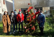 A Solopaca un albero di Natale illuminato dalla solidarietà e dall’integrazione
