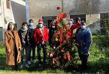 A Solopaca un albero di Natale illuminato dalla solidarietà e dall’integrazione