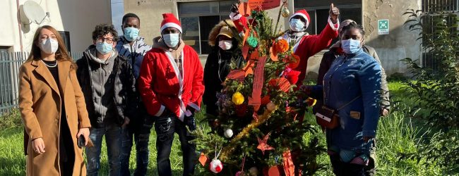 A Solopaca un albero di Natale illuminato dalla solidarietà e dall’integrazione