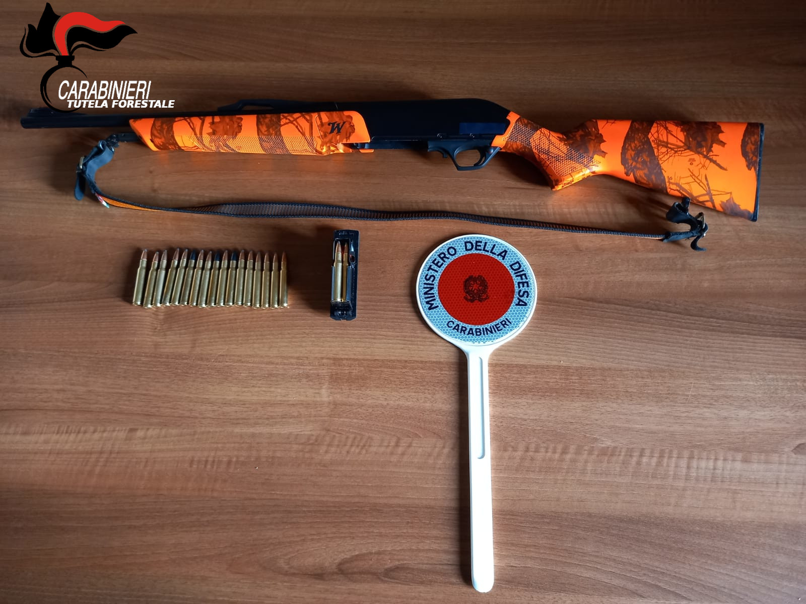 Caccia in area vietata, Carabinieri Forestali denunciano in stato di libertà un uomo di Apice