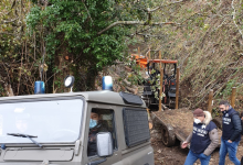 Taglio furtivo di querce e faggi nel Parco Regionale del Taburno-Camposauro: beccati in 5