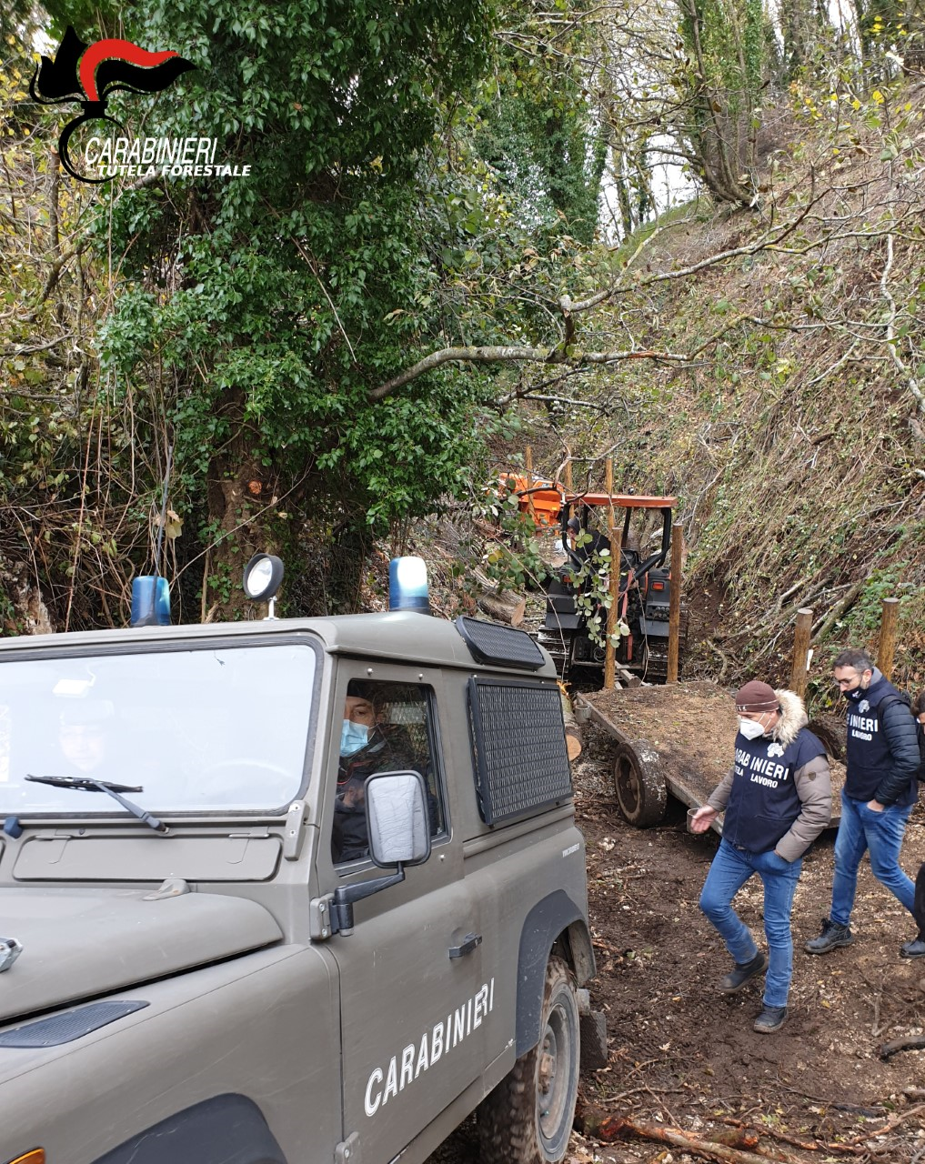 Taglio furtivo di querce e faggi nel Parco Regionale del Taburno-Camposauro: beccati in 5