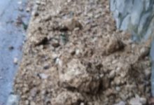 La segnalazione:caduta massi nel quartiere Pacevecchia