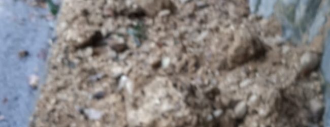 La segnalazione:caduta massi nel quartiere Pacevecchia