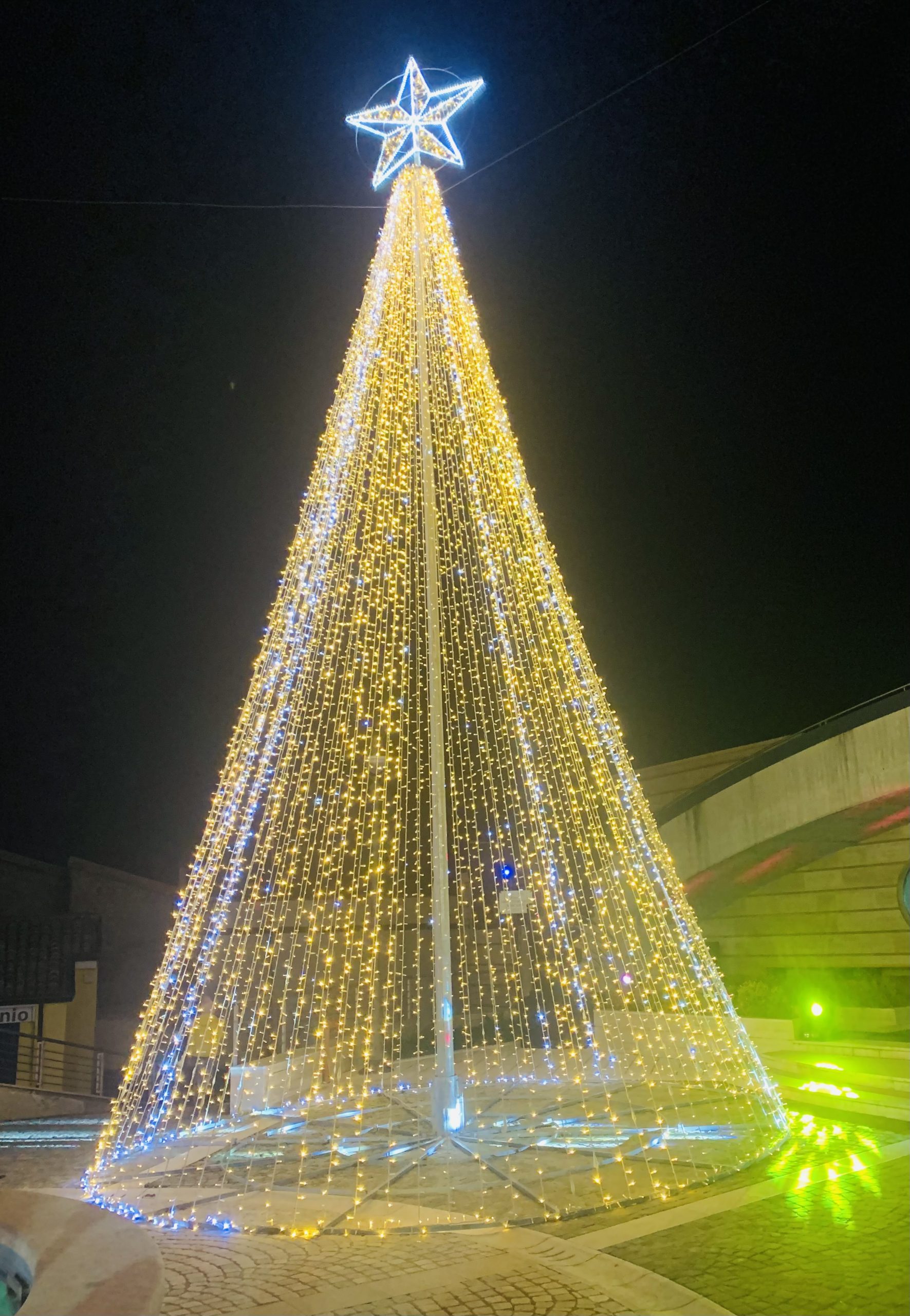 albero 2