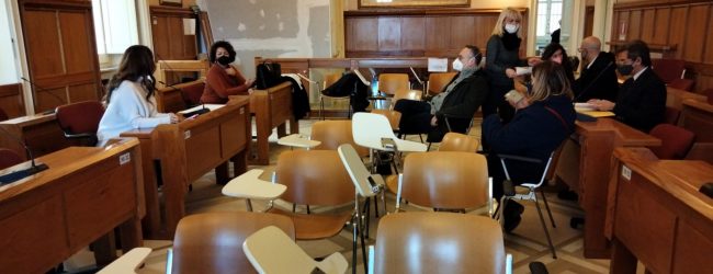 Consiglio da remoto, visioni divergenti