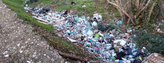 Rifiuti Lungosabato, le assicurazioni di Rosa