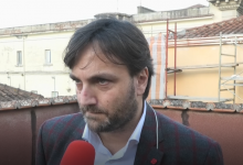 Benevento| Gatti uccisi, l’amministrazione: “Il Comune in prima linea, a breve nascerà un gattile”