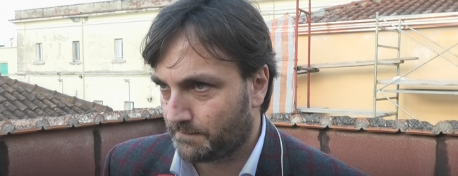 Benevento| Gatti uccisi, l’amministrazione: “Il Comune in prima linea, a breve nascerà un gattile”