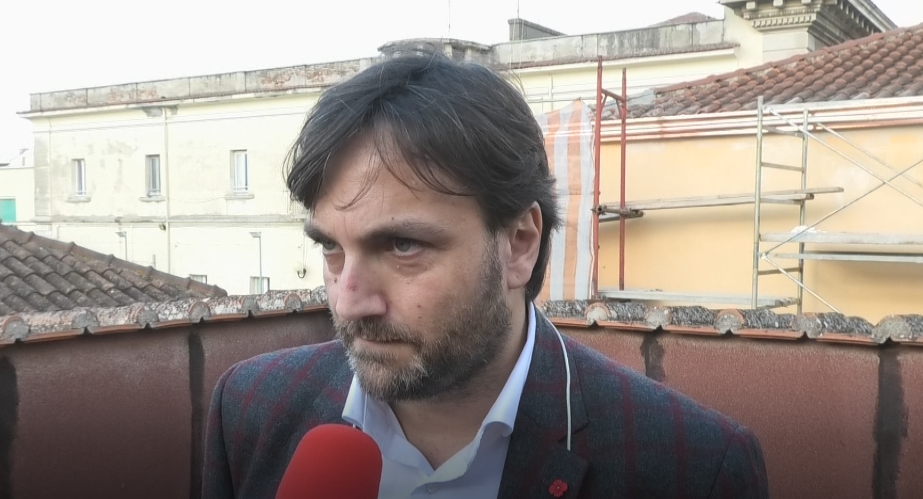Benevento| Gatti uccisi, l’amministrazione: “Il Comune in prima linea, a breve nascerà un gattile”