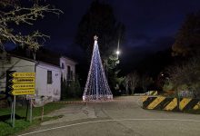 Un albero che illumina la frana di Arpaise