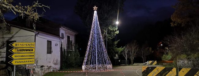 Un albero che illumina la frana di Arpaise