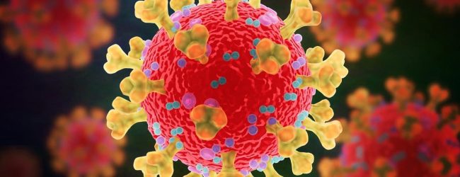 Covid, CNR: in Campania discesa dei contagi graduale