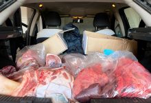 San Bartolomeo in Galdo| I Carabinieri denunciano due persone per trasporto di carne suina in cattivo stato di conservazione