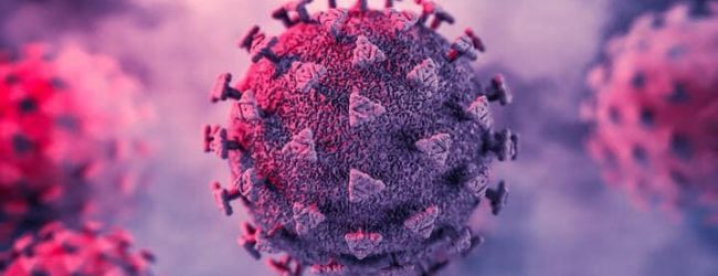 Covid, 789 nuovi casi nel Sannio. Al “San Pio” ricoverati 65 pazienti (28 sanniti)