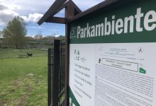 Bucciano, Parkambiente accoglie gli abeti di Torrecuso