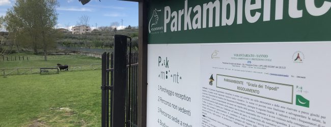 Bucciano, Parkambiente accoglie gli abeti di Torrecuso