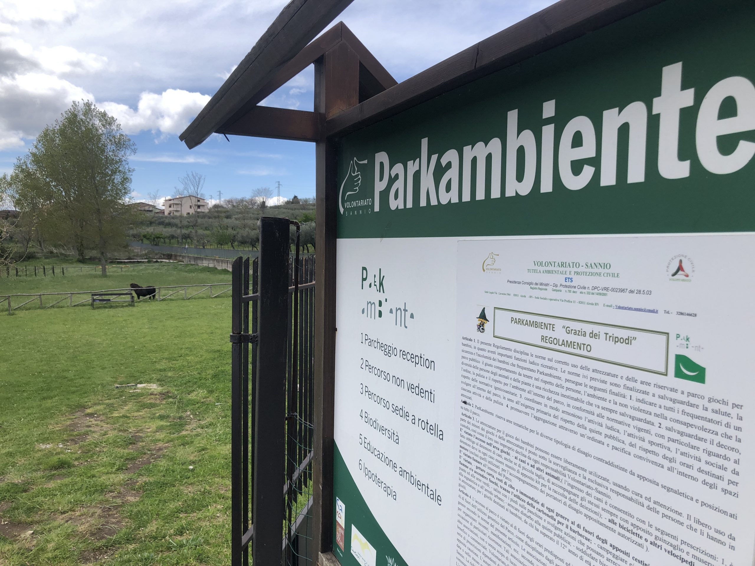 Bucciano, Parkambiente accoglie gli abeti di Torrecuso