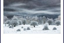 The International landscape photographe of the year: Mimmo Salierno vince il premio speciale “Snow and ice”