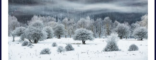 The International landscape photographe of the year: Mimmo Salierno vince il premio speciale “Snow and ice”