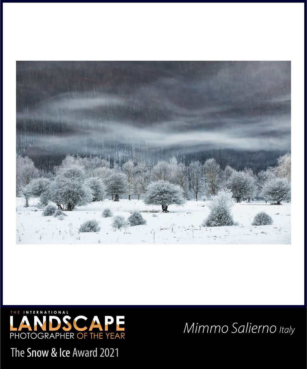 The International landscape photographe of the year: Mimmo Salierno vince il premio speciale “Snow and ice”