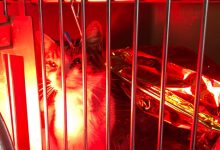Gattina necessita di trasfusioni di sangue di tipo A