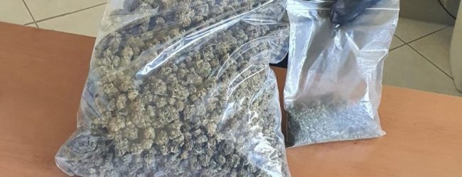 Gesualdo| Lotta alla droga, in manette 45enne: nascondeva 600 grammi di marijuana scovata dal fiuto di Nepal