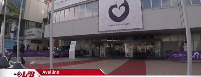 Vinitaly, dall’Irpinia 89 produttori docg<span class='video_title_tag'> -Video</span>
