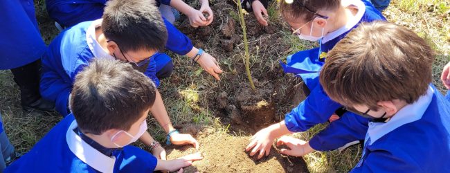 “Diamo Ossigeno al Futuro”, riprende da Morcone il tour della Gesesa nelle scuole
