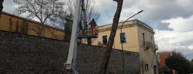 Dal 16 gennaio divieto di transito e sosta su alcuni tratti di viale degli Atlantici
