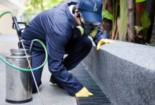 Benevento, disifenzione e disinfestazione larvicida: quest’anno quattro interventi in più