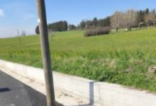 Benevento| Contrada Cardoni, il gruppo Pd: “Illuminazione pubblica invade la carreggiata, si intervenga al più presto”