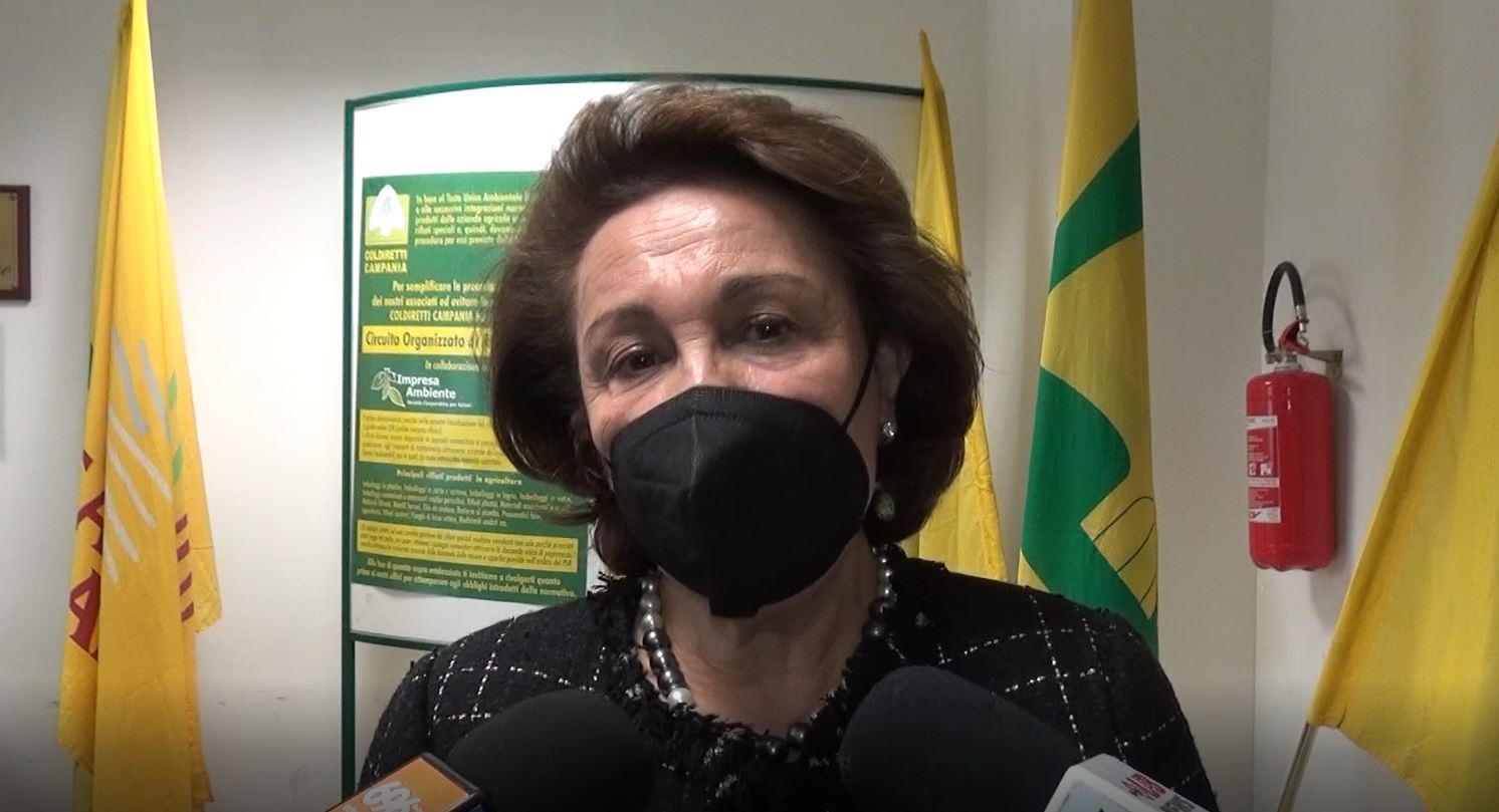 Avvisi pubblici PNRR: la senatrice Lonardo interroga il presidente del Consiglio