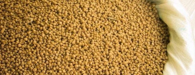 Liverini (Assalzoo): “sos alimenti zootecnia, agire ora”